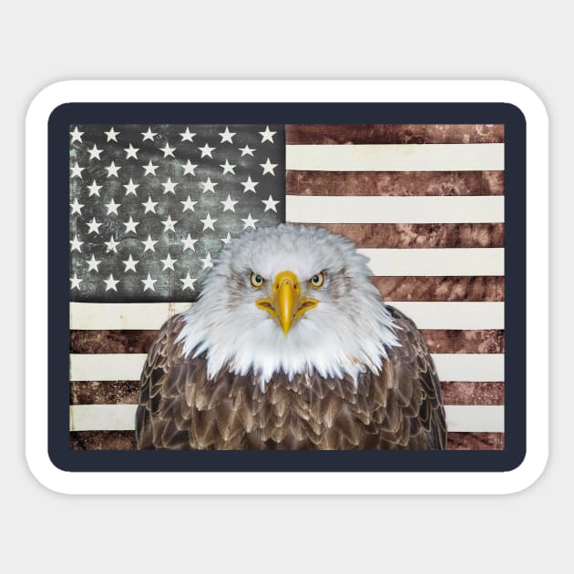 American Bald Eagle Sticker by morningdance